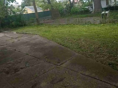 Leaf Removal service in Buffalo, 14202