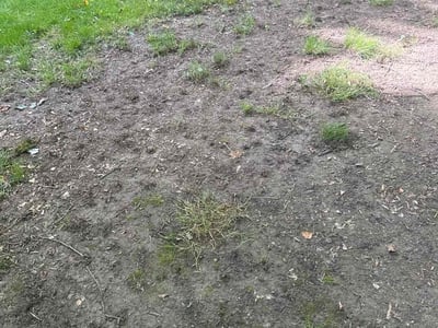 Leaf Removal service in Youngstown, 44503