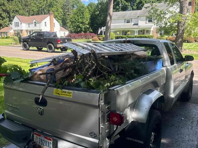 Leaf Removal service in Youngstown, 44503