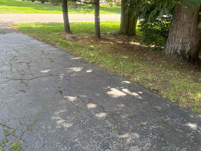 Leaf Removal service in Youngstown, 44503