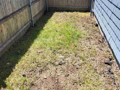 Leaf Removal service in Providence, 02903