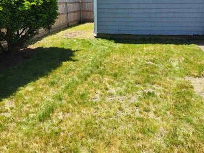 Leaf Removal service in Providence, 02903