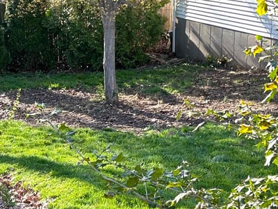 Leaf Removal service in Hartford County, 06001