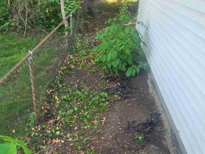 Leaf Removal service in Providence, 02903