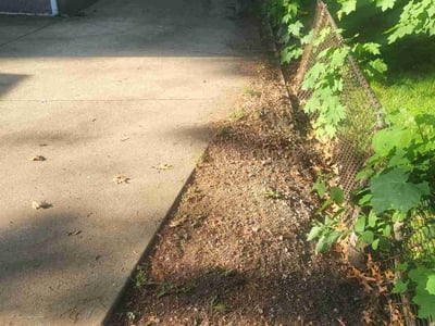 Leaf Removal service in Providence, 02903