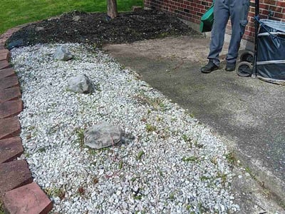 Leaf Removal service in Buffalo, 14202