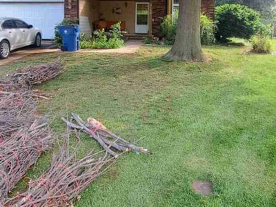 Leaf Removal service in Wichita, 67202