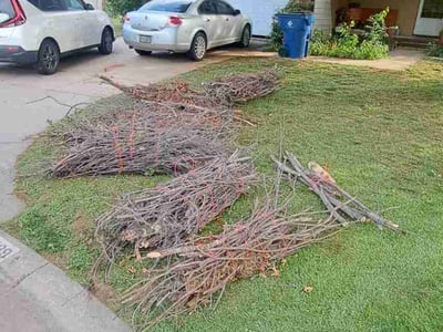 Leaf Removal service in Wichita, 67202