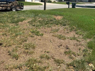 Leaf Removal service in Wichita, 67202