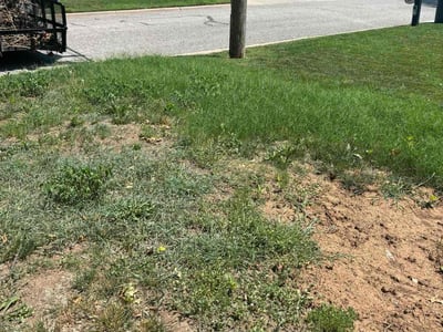 Leaf Removal service in Wichita, 67202