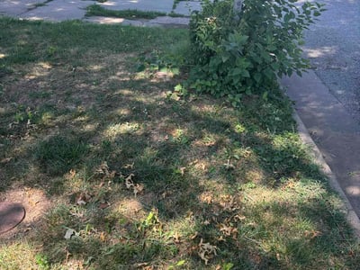 Leaf Removal service in Wichita, 67202