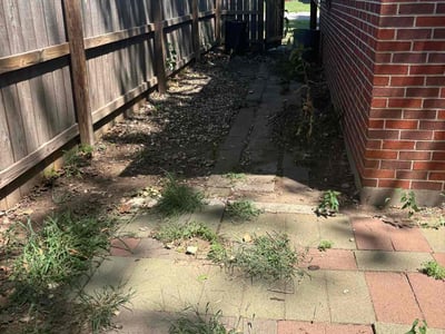 Leaf Removal service in Wichita, 67202
