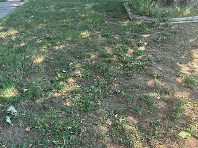 Leaf Removal service in Wichita, 67202