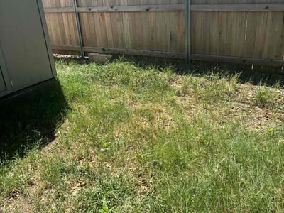 Leaf Removal service in Wichita, 67202