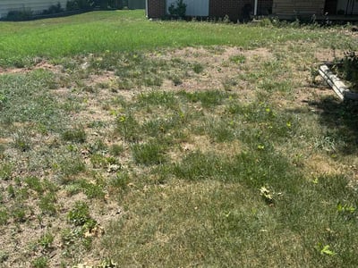 Leaf Removal service in Wichita, 67202