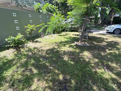 Leaf Removal service in Tampa, 33602