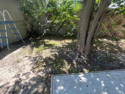Leaf Removal service in Tampa, 33602