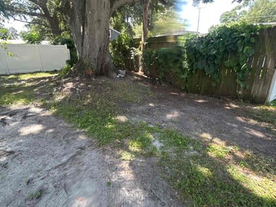 Leaf Removal service in Tampa, 33602