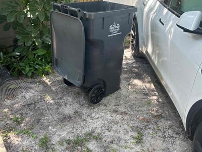 Leaf Removal service in Tampa, 33602