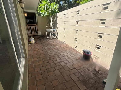 Leaf Removal service in Tampa, 33602