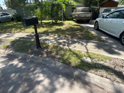 Leaf Removal service in Tampa, 33602