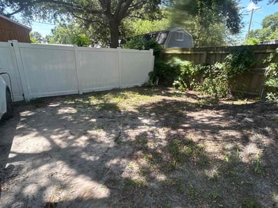 Leaf Removal service in Tampa, 33602