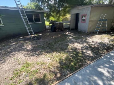 Leaf Removal service in Tampa, 33602
