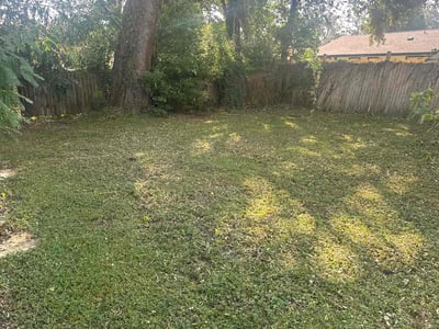 Leaf Removal service in Tampa, 33602