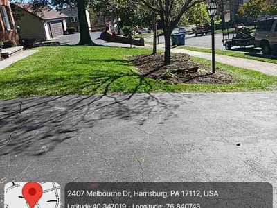 Leaf Removal service in Harrisburg, 17102