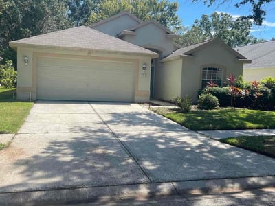 Leaf Removal service in Tampa, 33602