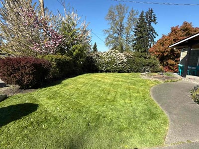 Lawn Care service in Ridgefield, 98642