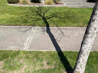 Lawn Care service in Yakima, 98901