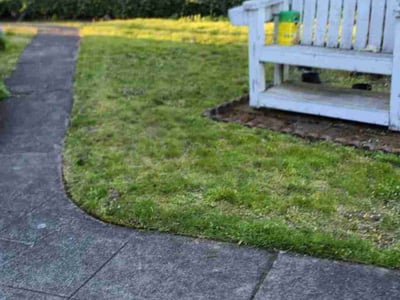 Lawn Care service in Yakima, 98901