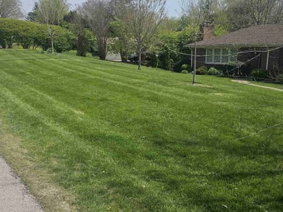 Lawn Care service in Henderson, 42420