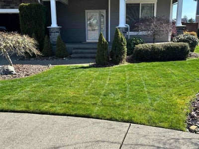 Lawn Care service in Yakima, 98901