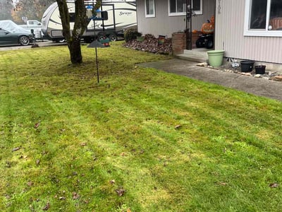 Lawn Care service in Yakima, 98901