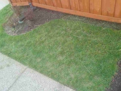 Lawn Care service in Yakima, 98901