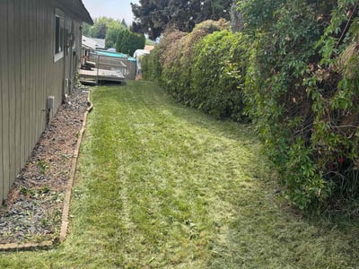 Lawn Care service in Yakima, 98901