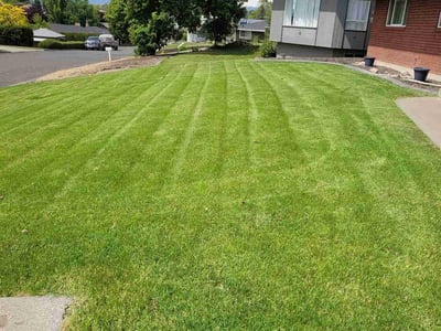 Lawn Care service in Yakima, 98901