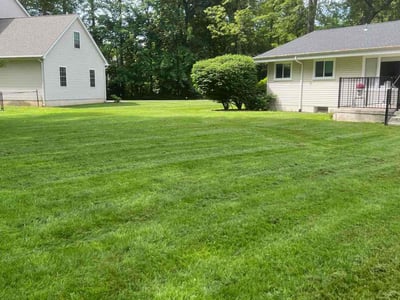 Lawn Care service in Clinton, 06413