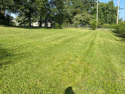Lawn Care service in Horn Lake, 37160
