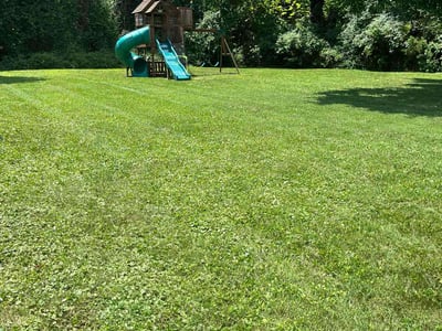 Lawn Care service in Henderson, 42420