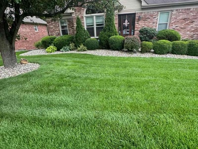 Lawn Care service in Henderson, 42420