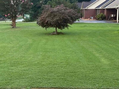 Lawn Care service in Wetumpka, 36092
