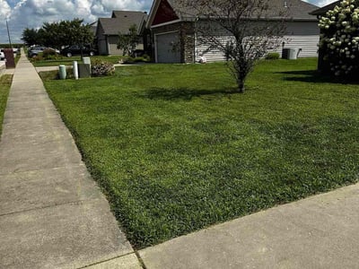 Lawn Care service in Henderson, 42420