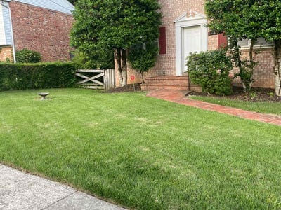 Lawn Care service in District Heights, 20747