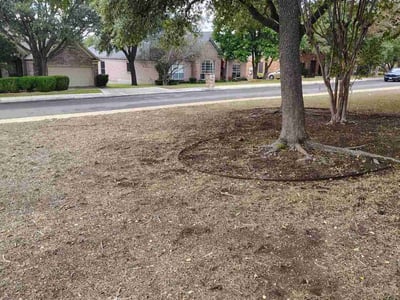 Leaf Removal service in Temple, 76501