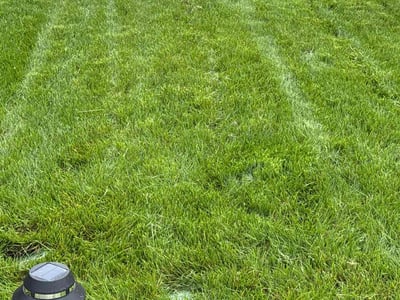 Lawn Care service in Point Pleasant Beach, 08742
