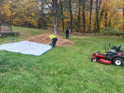 Lawn Care service in Clinton, 06413