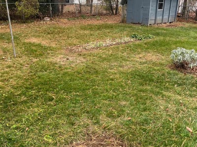Lawn Care service in Clinton, 06413